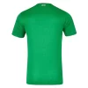 Ierland Thuisshirt 2024 Voetbalshirts Korte Mouw-1