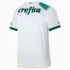 SE Palmeiras Uitshirt 2023-2024 Voetbalshirt met Korte Mouw-1